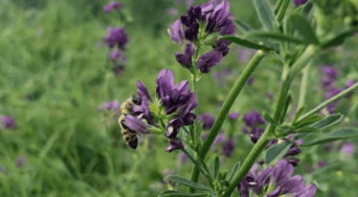 2023 Conference Recordings Available!