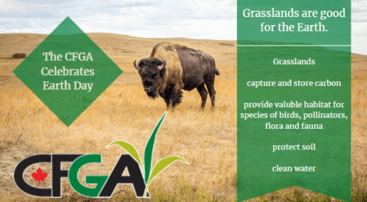CFGA celebrates Earth Day every day