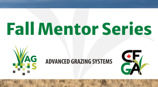 CFGA fall mentor series insights and upcoming training opportunities