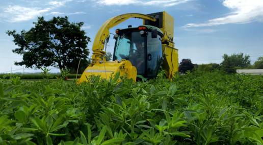 CFGA Partner Spotlight: DLF