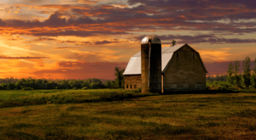 CFGA receives OFCAF funding to continue supporting farmers in rotational grazing