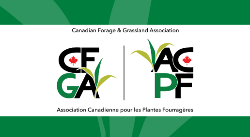 CFGA&rsquo;s webinars boost grazing skills for bison and small ruminant producers