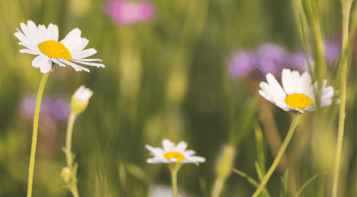 Conference 2022 Recap - Live Panel