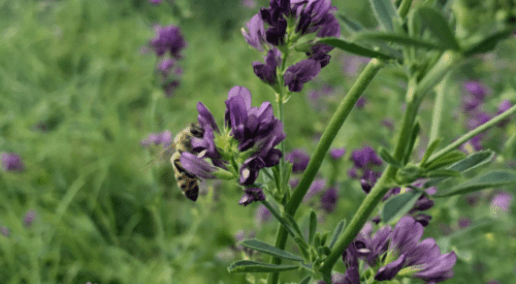 Conference 2023 Recap: Panel Discussion on Exports and Markets