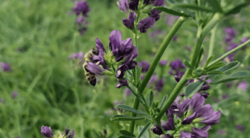 Conference 2023 Recap: Panel Discussion on Industry-led Sustainability Programs