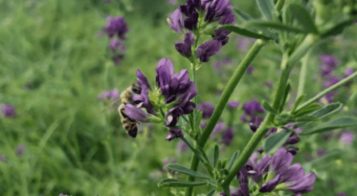 Conference 2023 Recap: Panel Discussion on Science