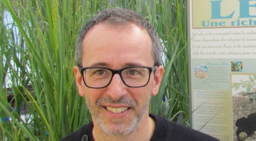 Conference 2024 Recap: Dipping into Perennials to Restore Soil Health and Resilience