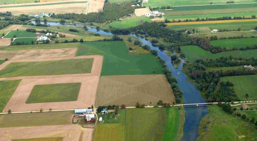 Conference 2024 Recap: Field to Feed Panel