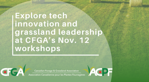 Explore tech innovation and grassland leadership at CFGA&rsquo;s Nov. 12 workshops