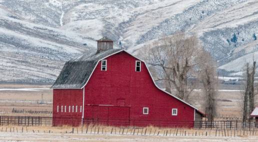 Happy holidays from the Canadian Forage and Grassland Association