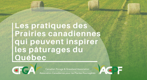 Prairie practices that can inspire Quebec pastures