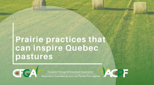 Prairie practices that can inspire Quebec pastures