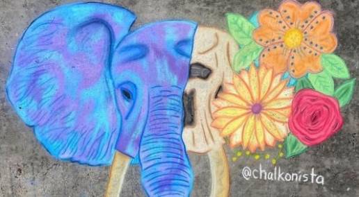 Raising awareness of threatened and endangered species