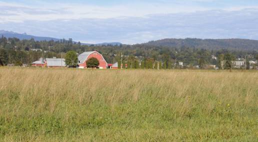 photo of a hay field with a red barn