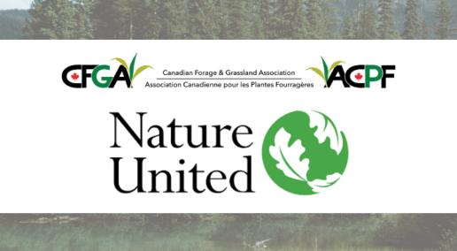 Tomorrow&rsquo;s Prairies Project is advancing grassland knowledge for a changing climate