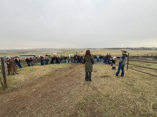 AB - Lakeland College Pasture Demo Site