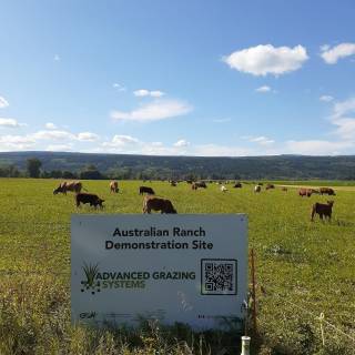 BC - Australian Ranch Ltd.