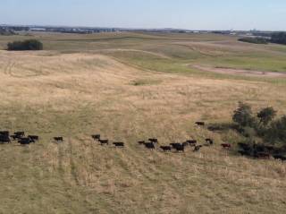 Lakeland College Pasture Demo Site