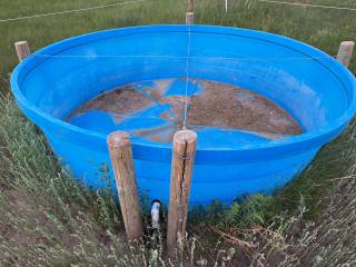 Trough filled via underground pipeline divide to allow access.
