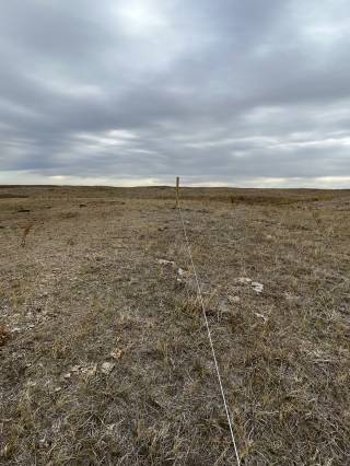 Mattheis Research Ranch Demo Site