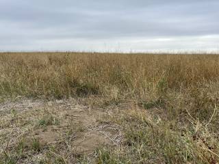 Mattheis Research Ranch Demo Site