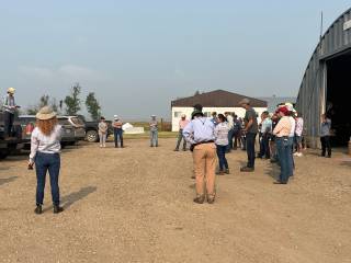 Matthius Demo Site Event