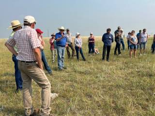 Matthius Demo Site Event