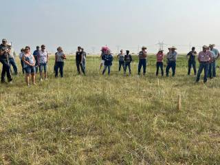 Matthius Demo Site Event