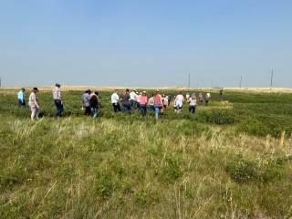 Matthius Demo Site Event