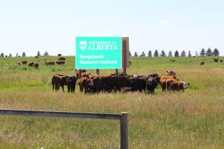 Mattheis Research Ranch Demo Site