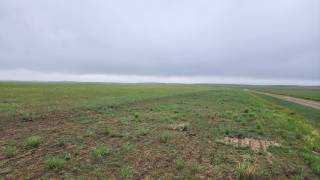 Millie Demo Site