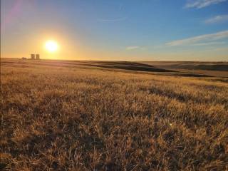 Riverview Ranch Demo Site