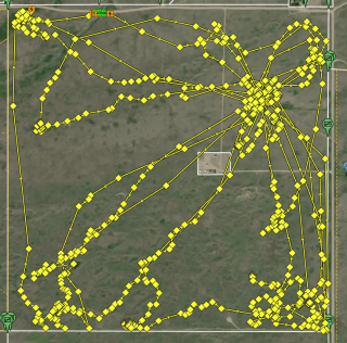 Riverview Ranch Demo Site