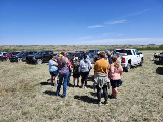 RM 3 Enniskillen Demo Site