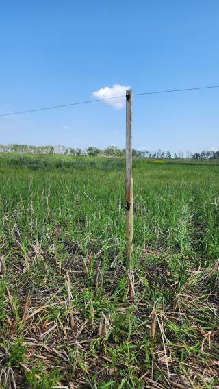 Steven Balzer Demo Site