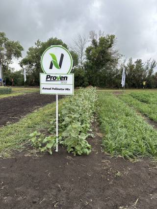 Steven Balzer Demo Site