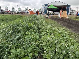 Steven Balzer Demo Site