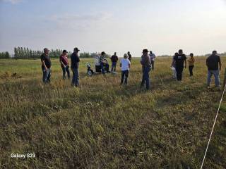 Steven Balzer Demo Site