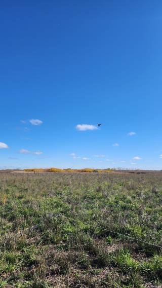 Tom MacDonald Demo Site