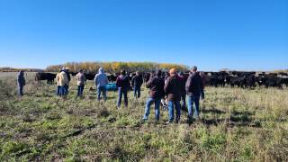 Tom MacDonald Demo Site