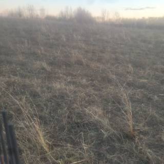 Tom MacDonald Demo Site