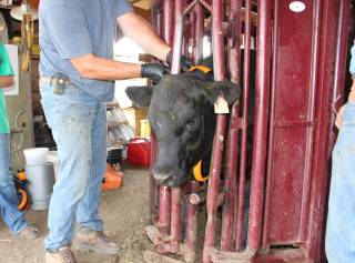 Touchwood Hills Demo Site