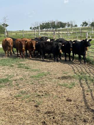 Touchwood Hills Demo Site