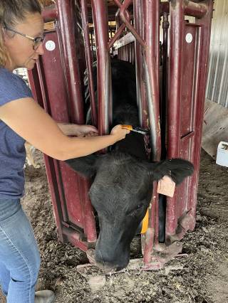 Touchwood Hills Demo Site