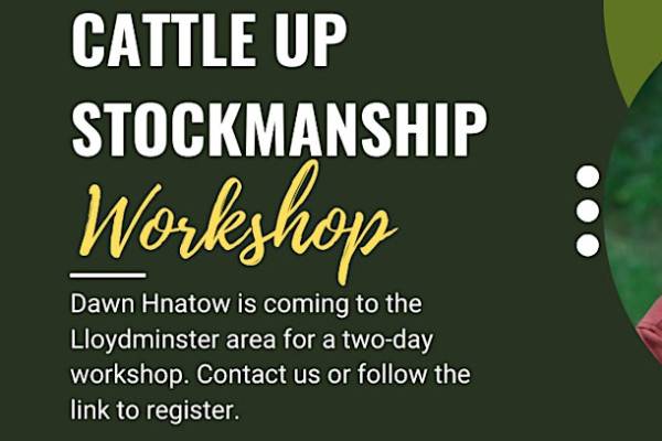 Cattle Up Stockmanship Clinic with Dawn Hnatow