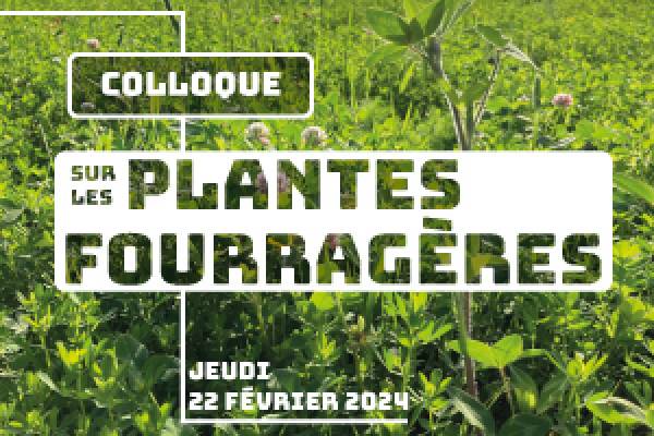 CRAAQ - Colloque sur les plantes fourragères 2024
