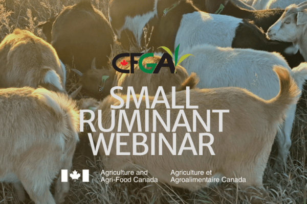 Feb 10: Small Ruminant Webinar Series