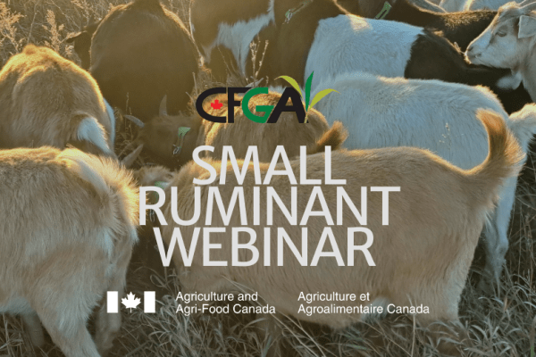Feb 3: Small Ruminant Webinar Series