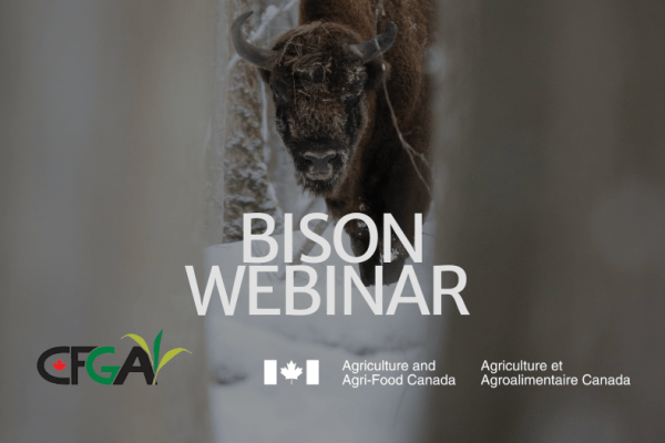 Feb 4: Bison Webinar Series: