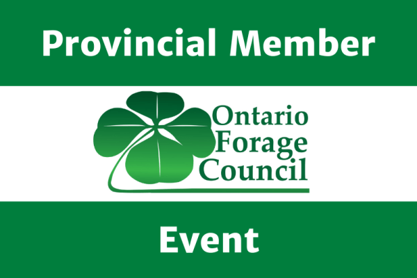 Forage Focus Day 1: Triticale – The Comeback Kid